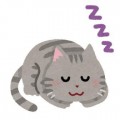 安眠できてますか・・・? 安眠できてますか・・・?